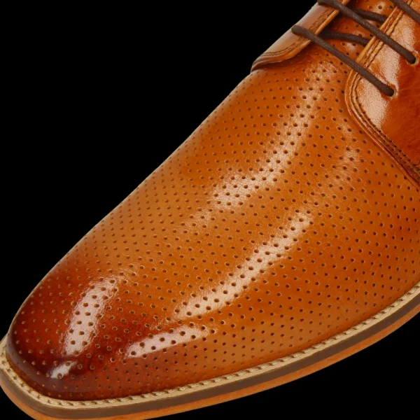 Melvin & Hamilton Derbies^Alex 1 Bruin