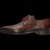 Melvin & Hamilton Derbies^Lance 8 Bruin
